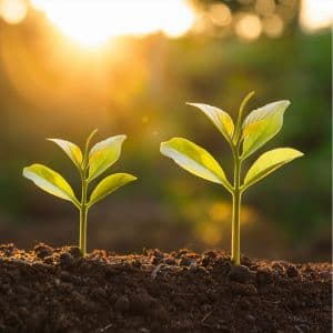 Apologise for their own website