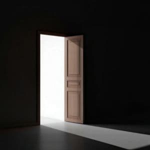 Launched a new service line